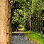 Sundew Cottage, Cosy 1 Bed, Near & Newgrange * Slane