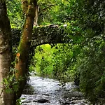 Sundew Cottage, Cosy 1 Bed, Near & Newgrange Hébergement de vacances Slane