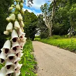 Hébergement de vacances Sundew Cottage, Cosy 1 Bed, Near & Newgrange Slane