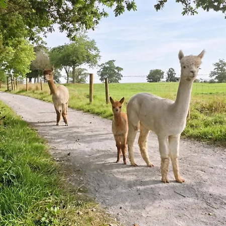 Hébergement de vacances Sundew Cottage, Cosy 1 Bed, Near & Newgrange *